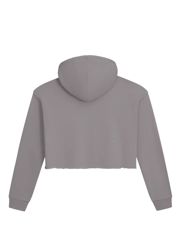 Wink Outdoors - Glamping Crop Fleece Hoodie product image (2)