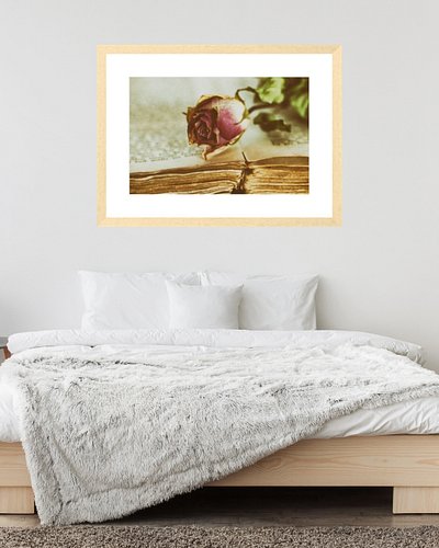 Timeworn Beauty 3
Decorate Your Space!
Art work available as Framed Prints, Canvas Prints, Metal Prints & Fine Art Prints! Ma...