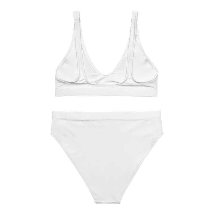 Bikini product image (2)
