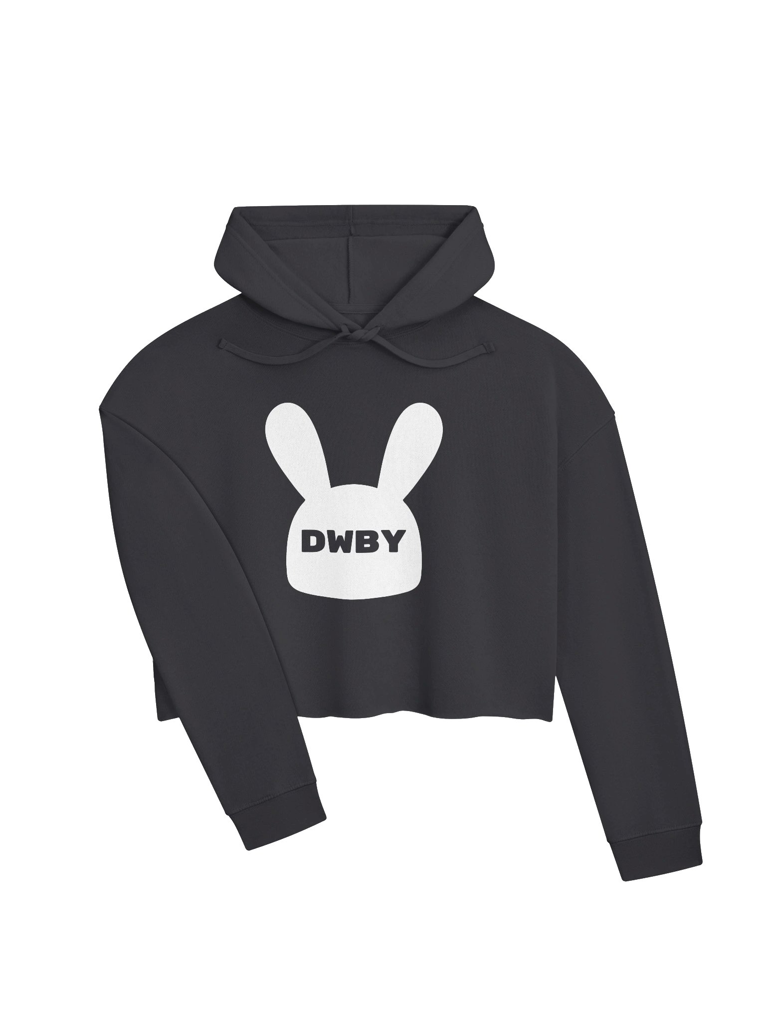 DWBY Cropped Hoodie product image (3)