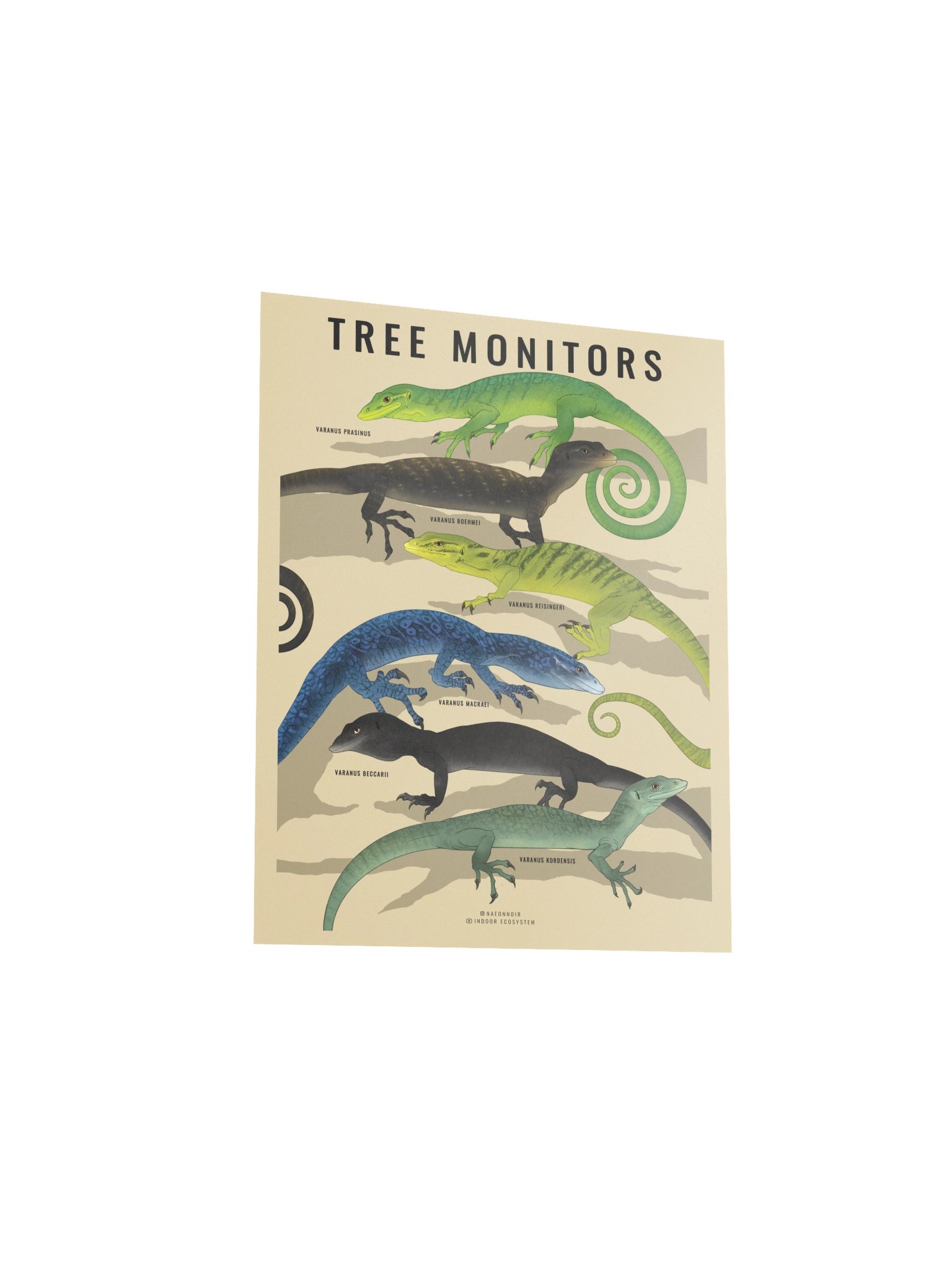 VARANUS TREE MONITOR POSTER (CREAM) product image (3)