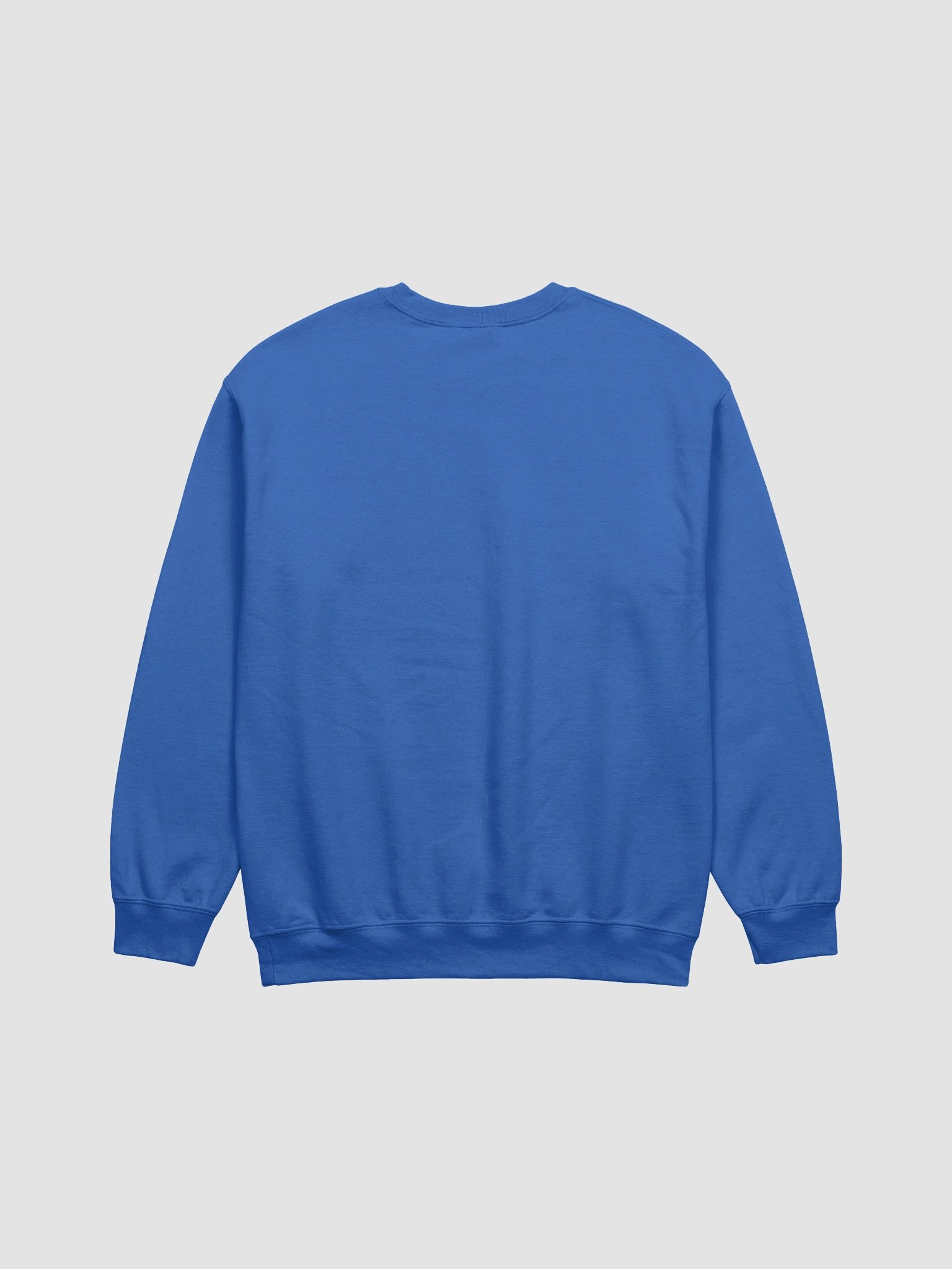 Houston I Have So Many Problems Sweatshirt product image (2)