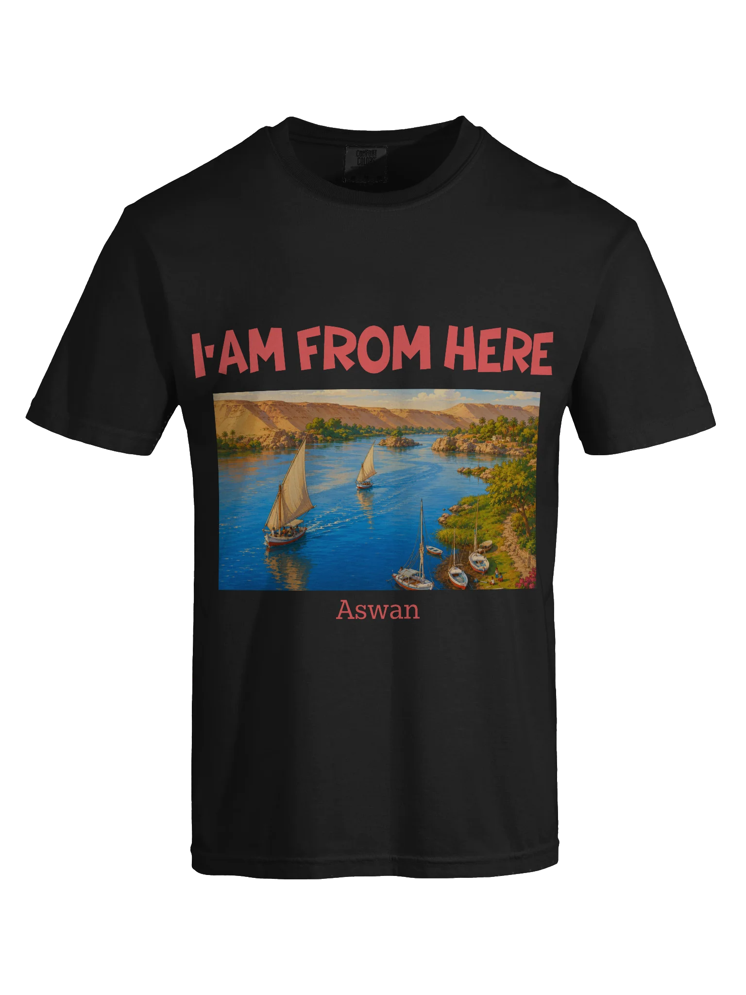 Aswan T-Shirt (Heavyweight Fabric) product image (5)
