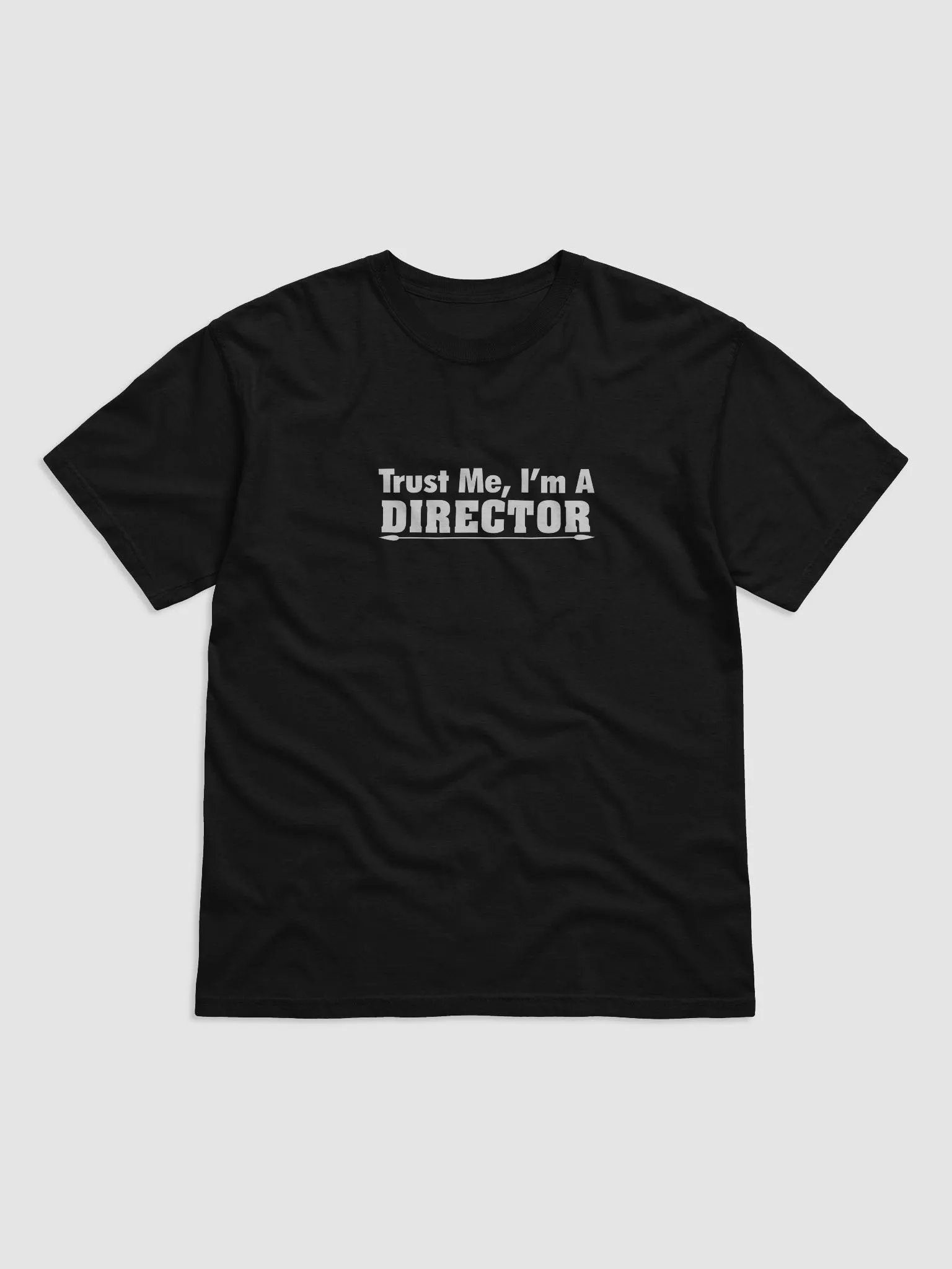 Parks and Recreation Stylized T-Shirt product image (1)