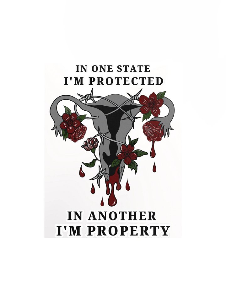 “In One State, I’m Protected — In Another, I’m Property” Poster product image (2)