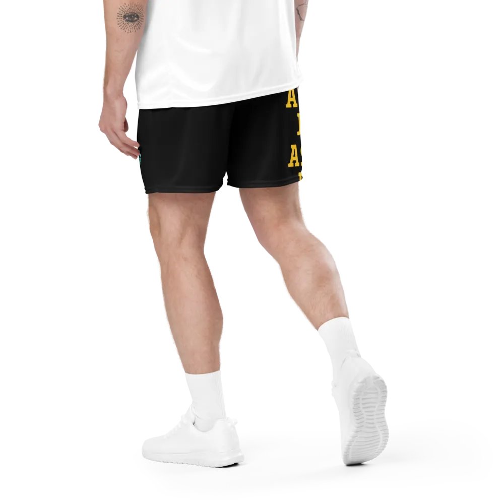 Mr. Flexback Gym Shorts - Black product image (4)