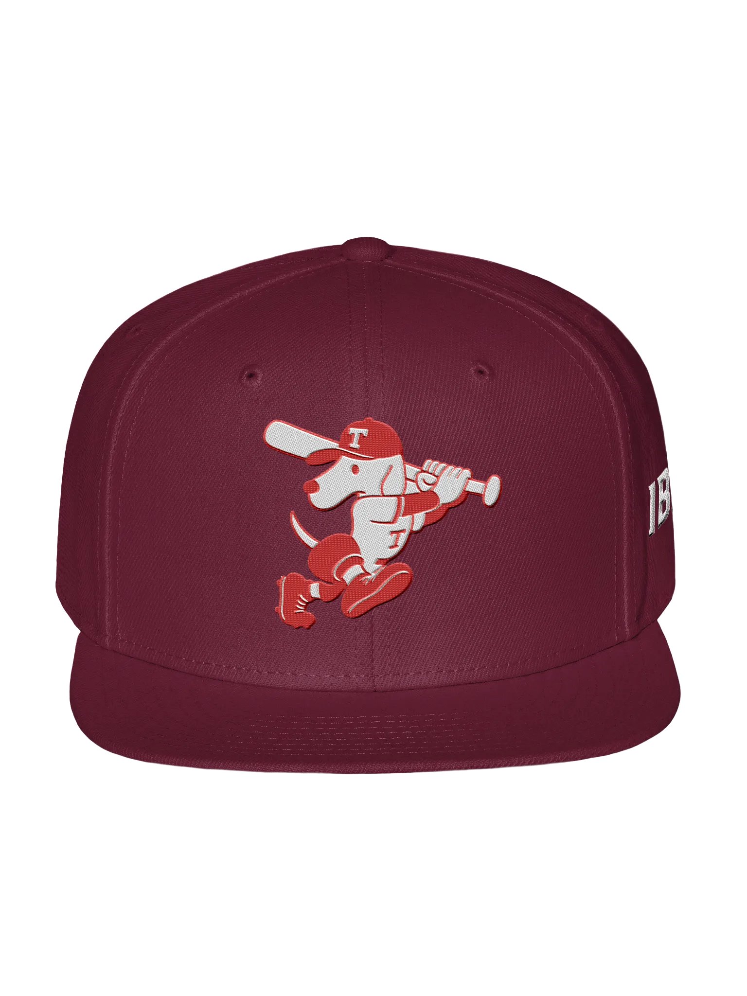 Galt Terriers Legacy Cap product image (6)