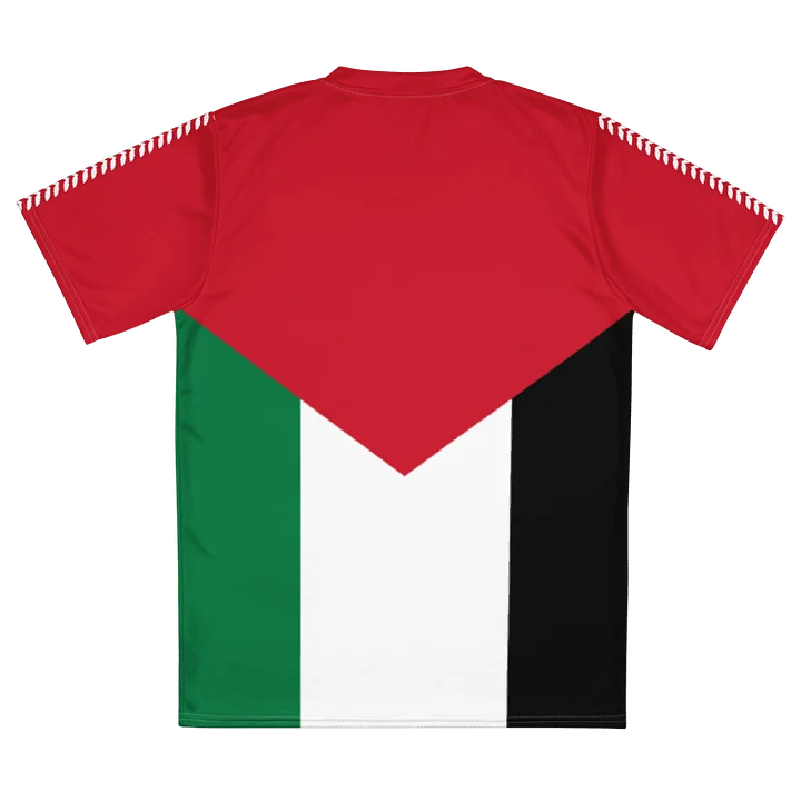 Palestine Flag Olive Vine Short Sleeve Jersey product image (2)