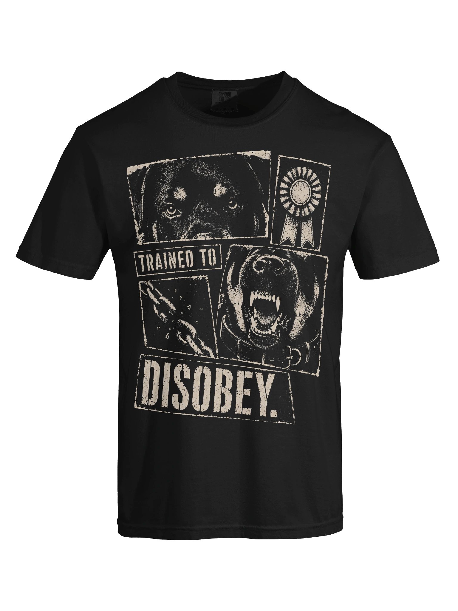 Trained to Disobey Heavyweight Vintage Graphic Tee product image (6)