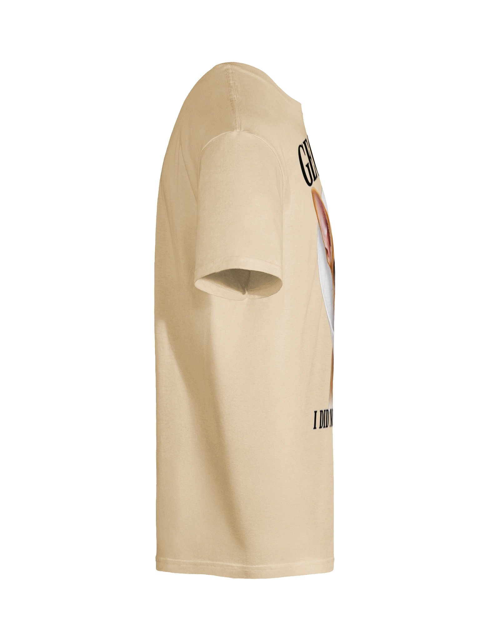 Georgie™ – "I Did Not Agree to This" Vet Visit Tee product image (37)