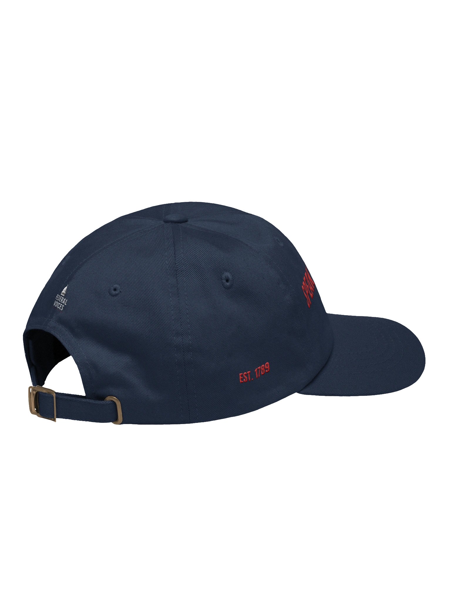Speak Truth to Power Embroidered Cap product image (4)