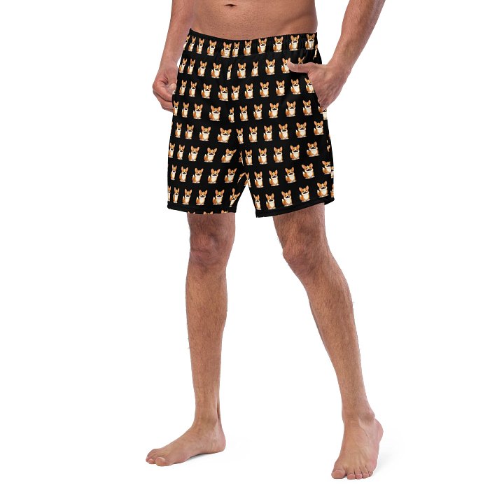 Torgi Swim Trunk Black product image (2)