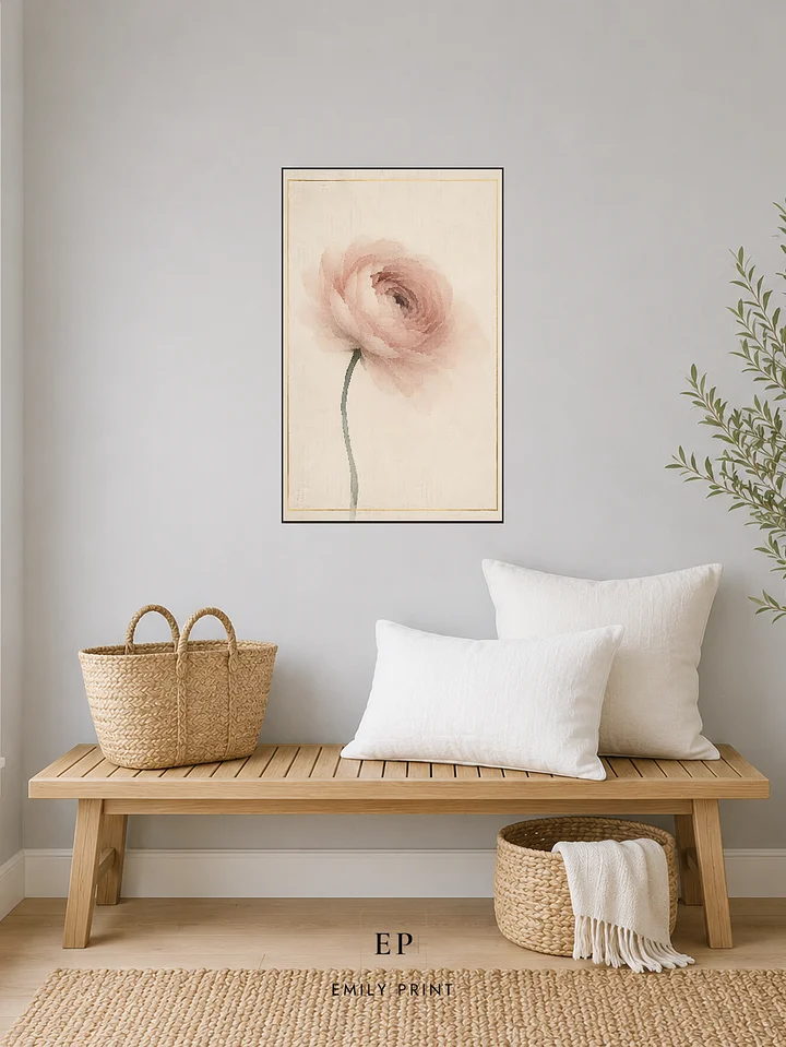 Pale Ranunculus product image (2)