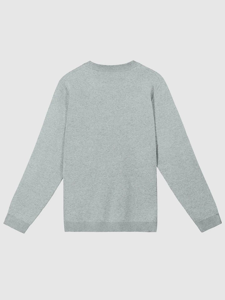 PLEASE DON'T MAKE ME TALK (light blue duotone) knitwear classic crewneck product image (7)