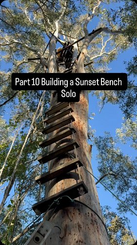 Finally got Part 10 of building a sunset bench done. This is really getting crazy now!

The new level on the tree really step...