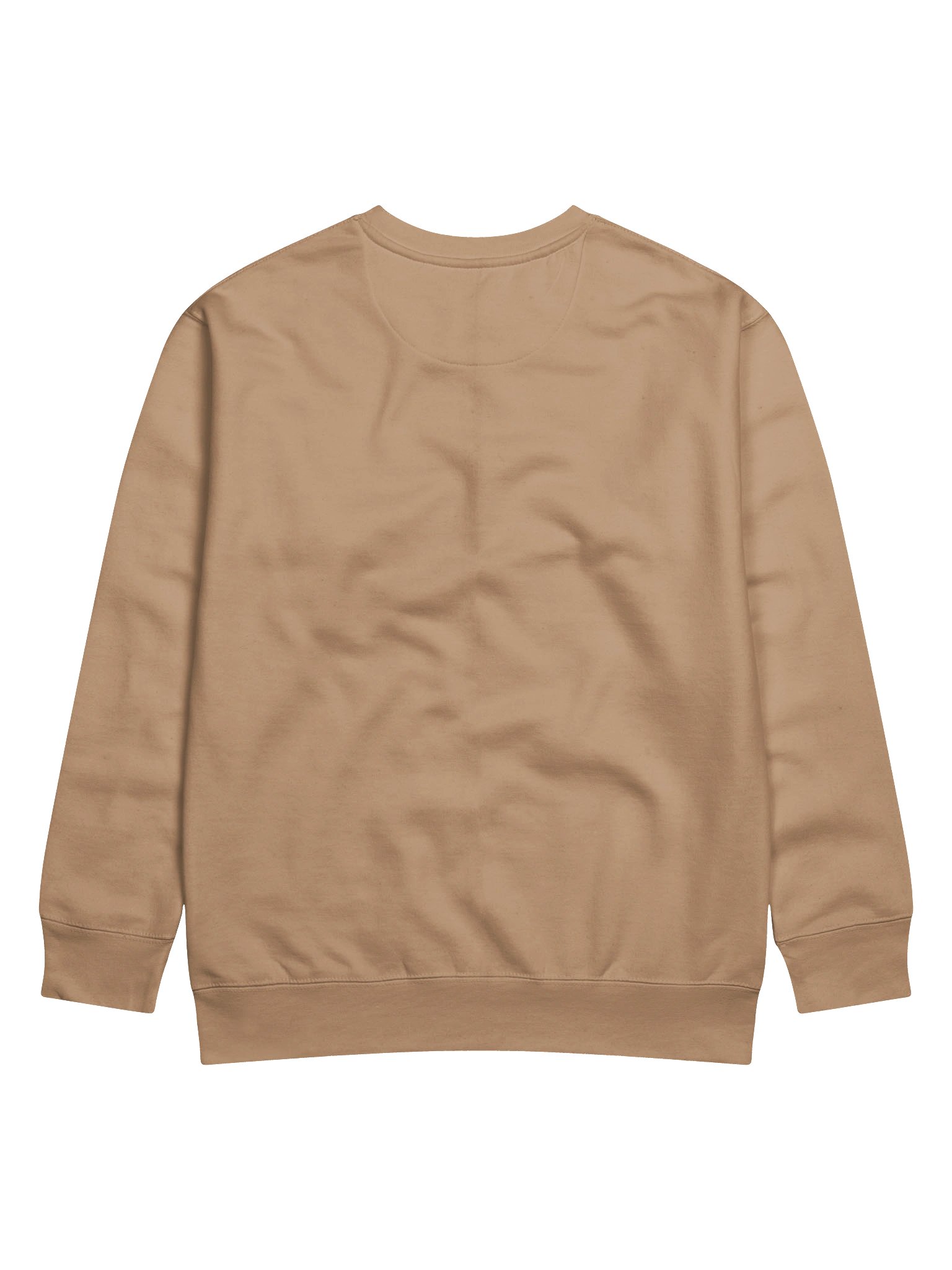 blackcat premium sweatshirt product image (46)