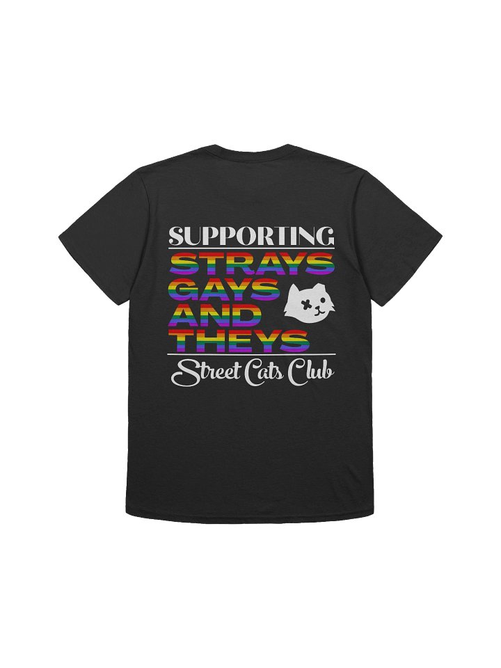 Strays, Gays, and Theys T-Shirt product image (2)