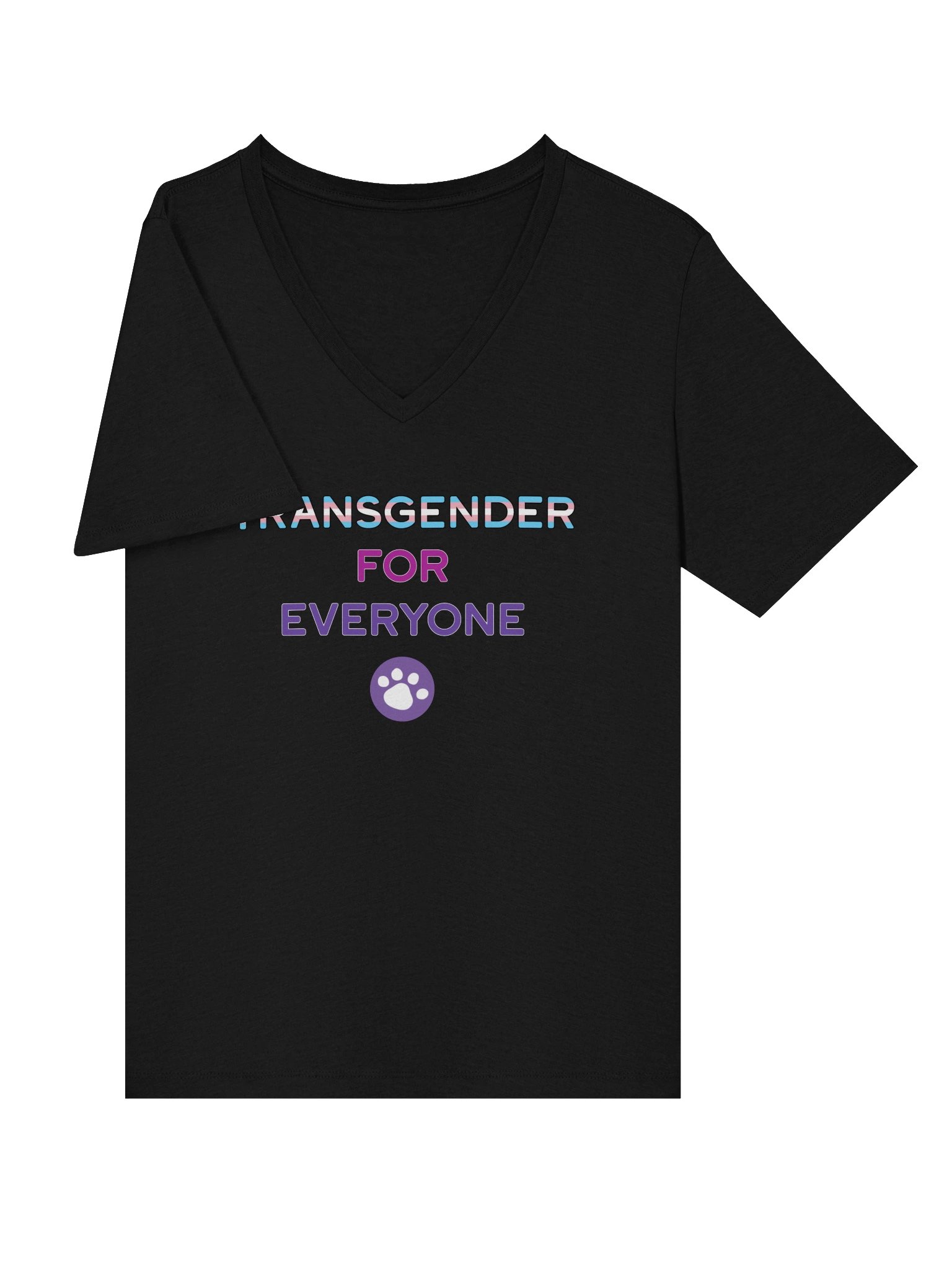 Transgender for Everyone Women's V-Neck product image (12)