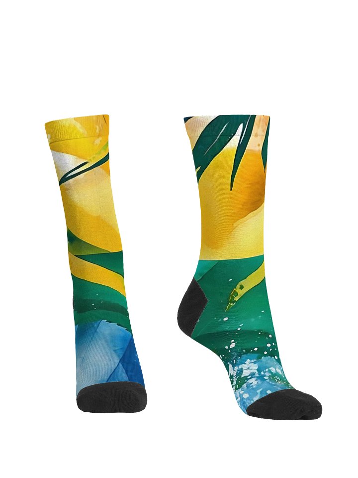 SVG Vintage Sport Diplomat Print - Caribbean Apples | Premium Sustainable Crew Socks product image (2)