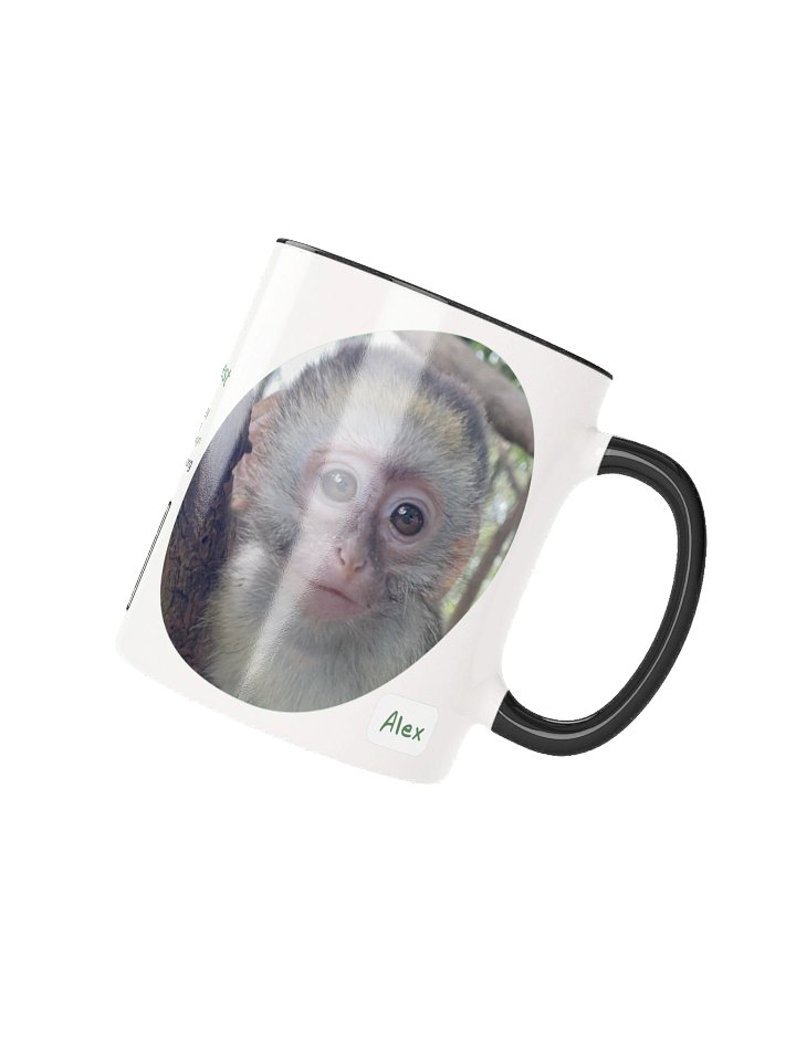 Alex Mug product image (3)