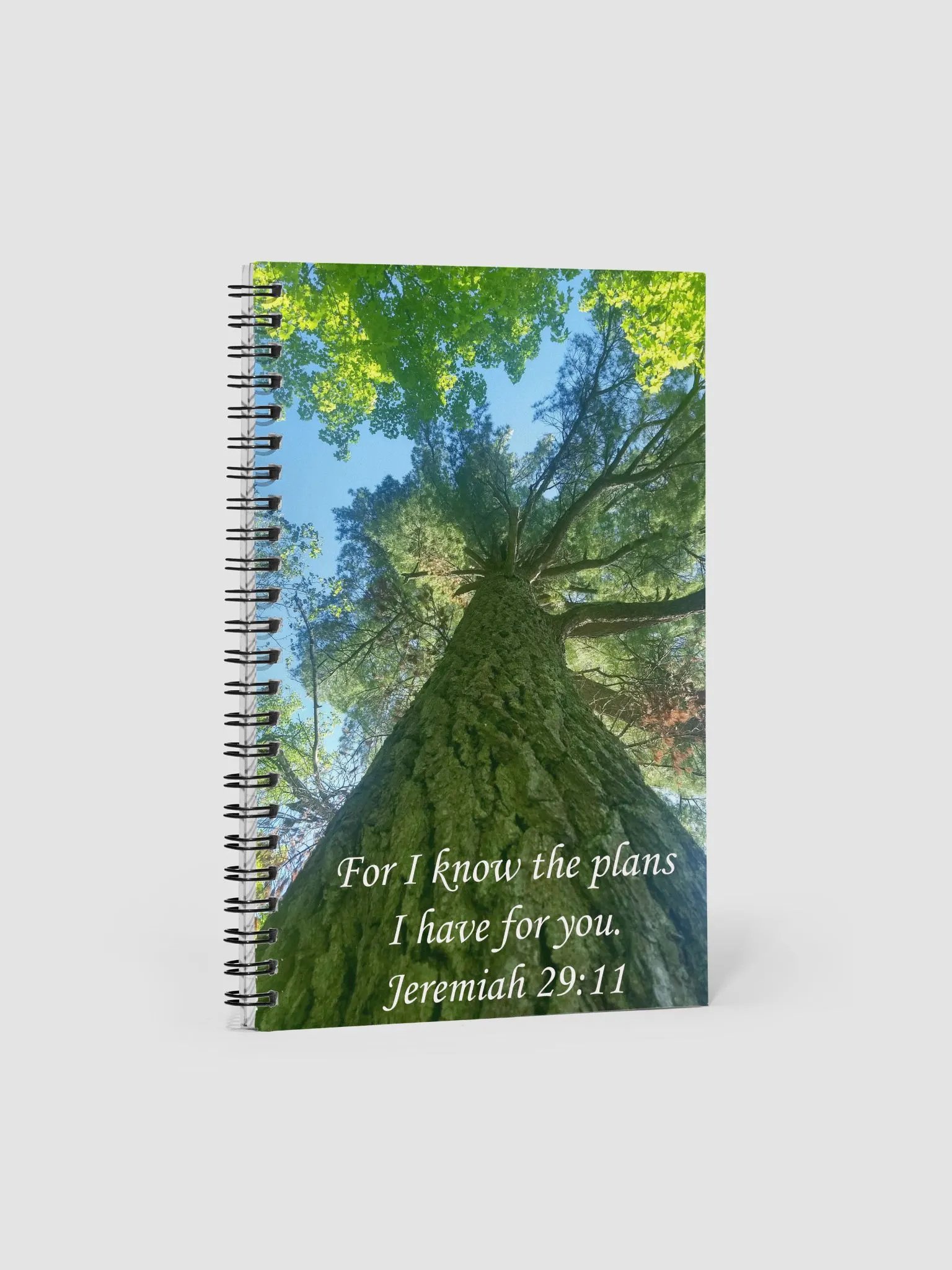 I Know the Plans - Journal product image (1)