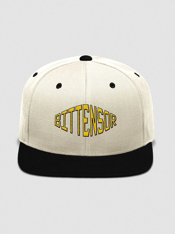 (13/20) Bittensor Cap product image (1)