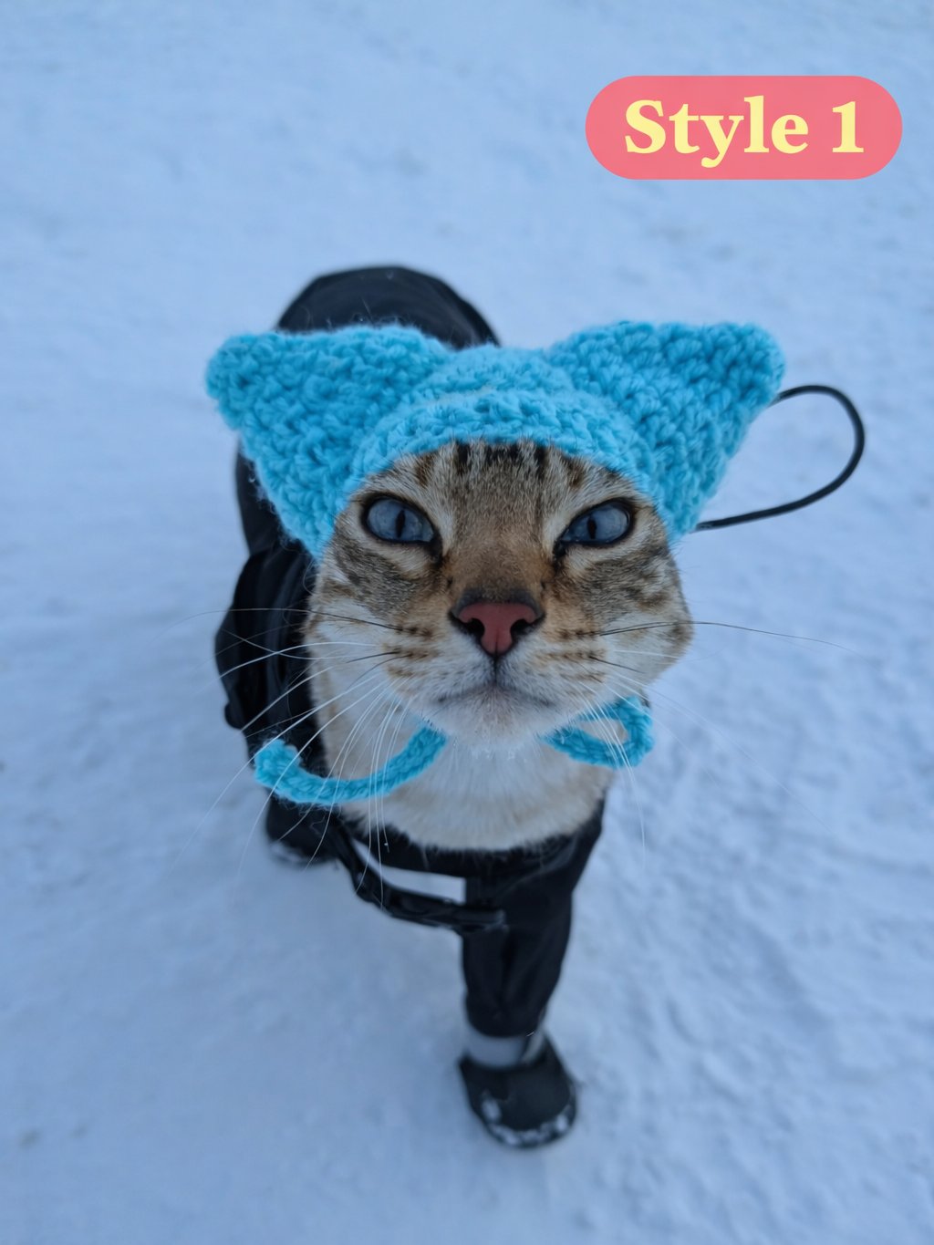 Hats for Cats product image (2)