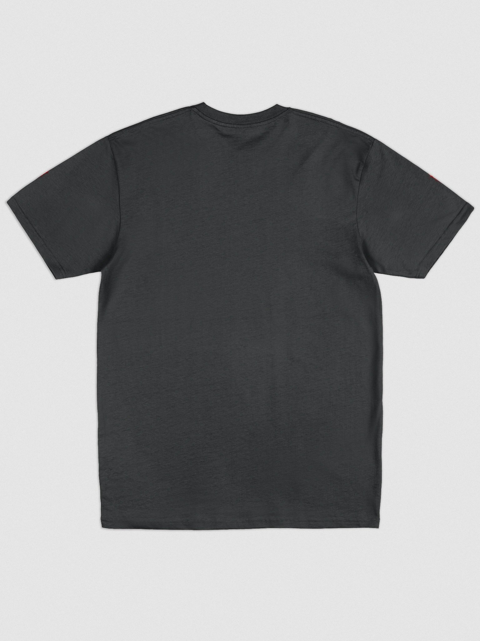 EYESORE! EMBROIDERED TEE product image (2)
