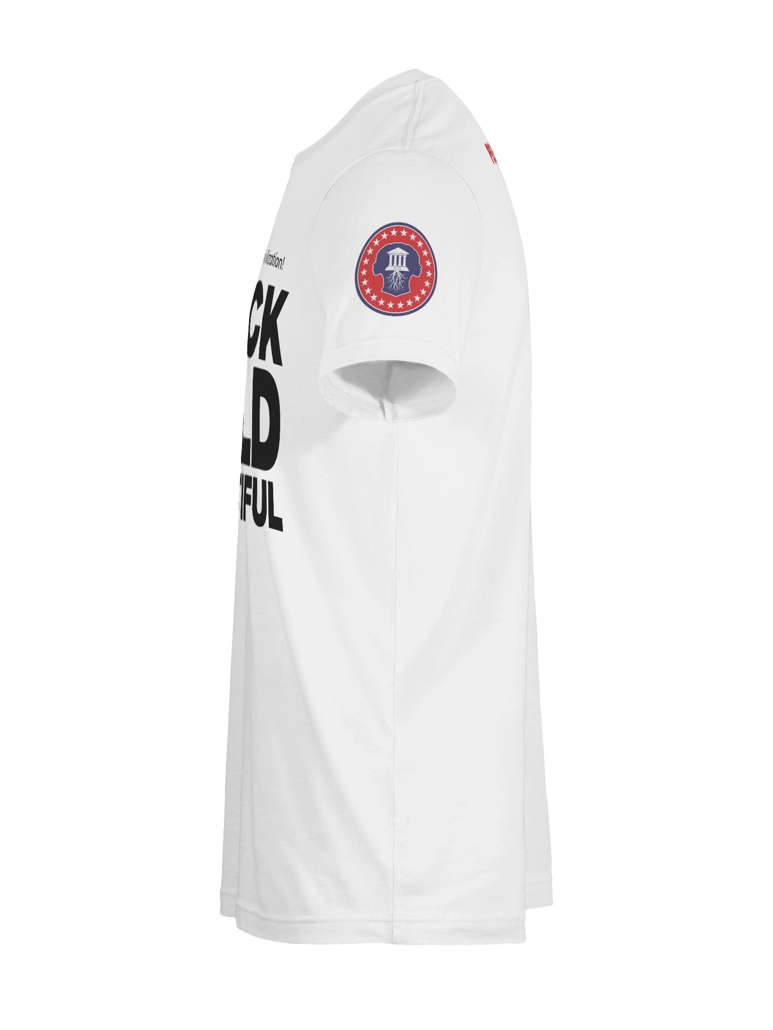 PA - Mother of Civilization T-Shirt product image (11)