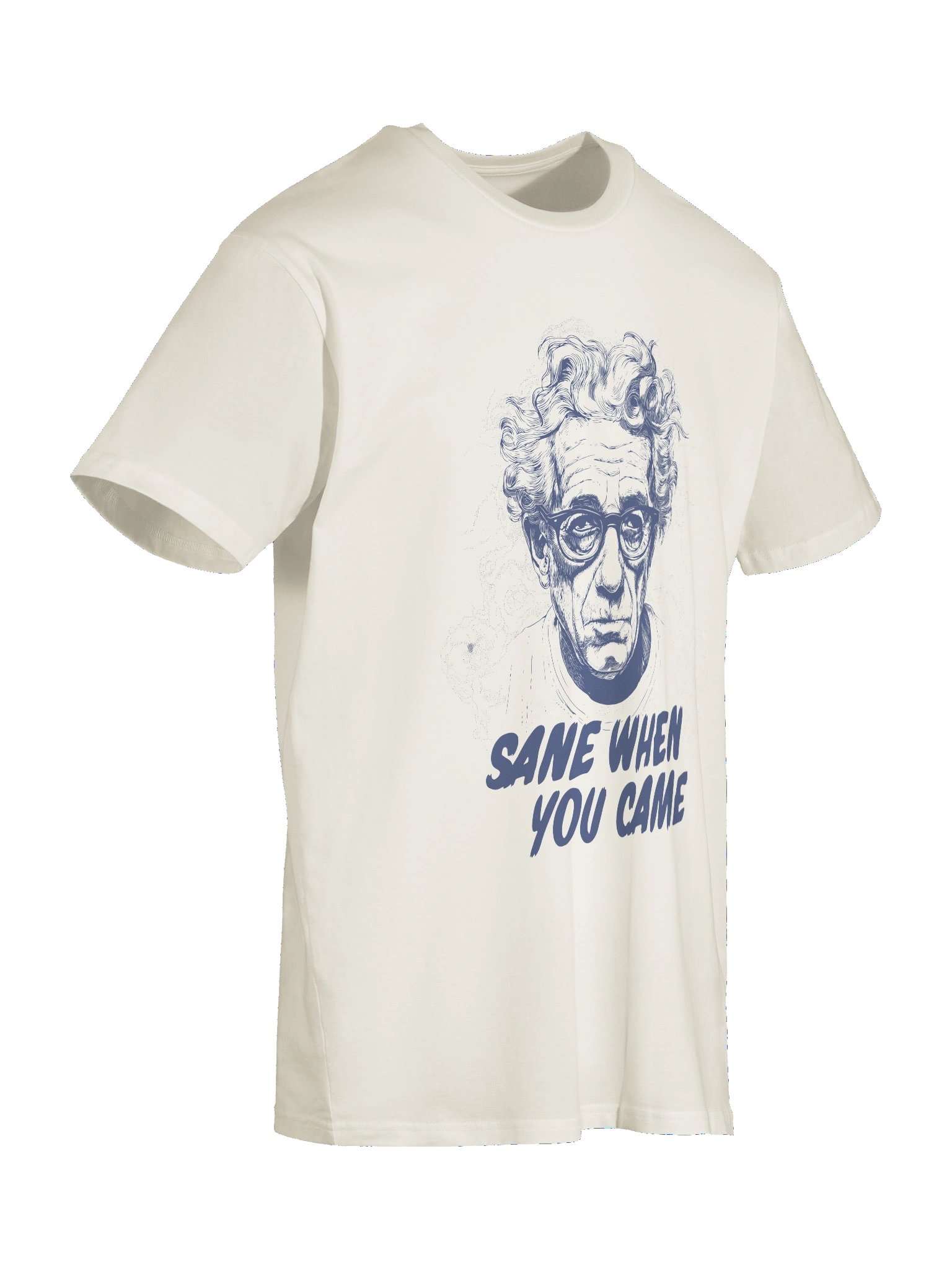Sane When You Came Tee product image (11)