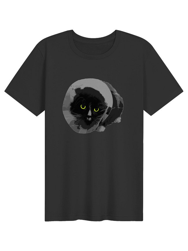 Cone Of Shame - Hammond's Surgery Collection