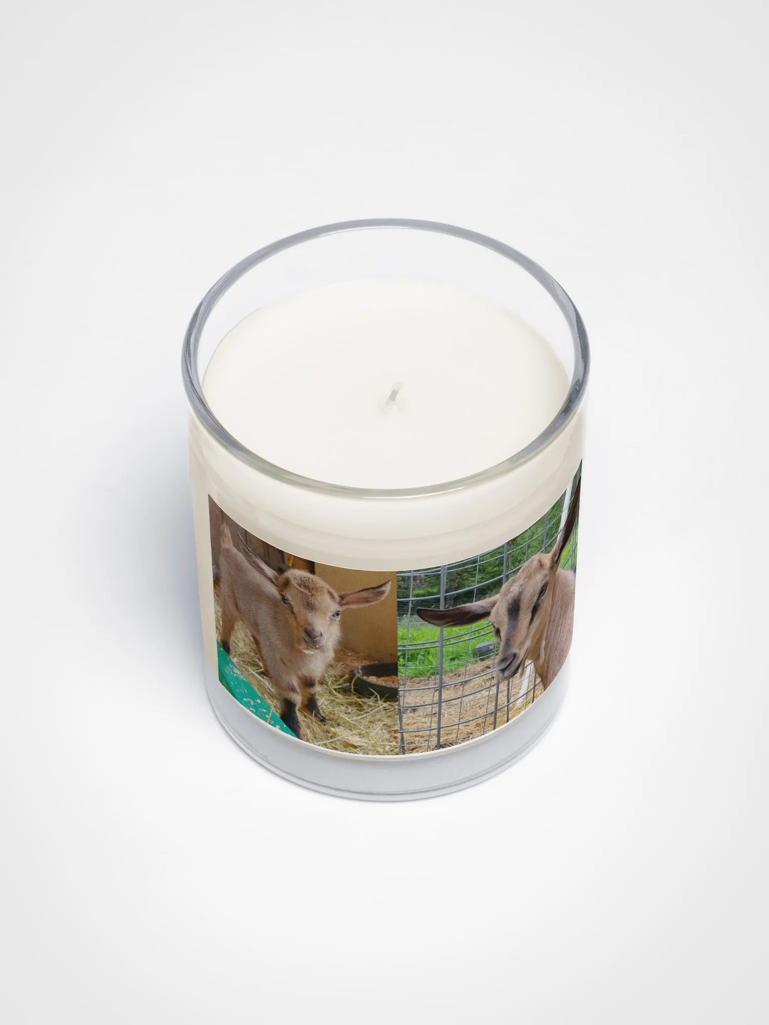 Double Kiwi candle product image (3)