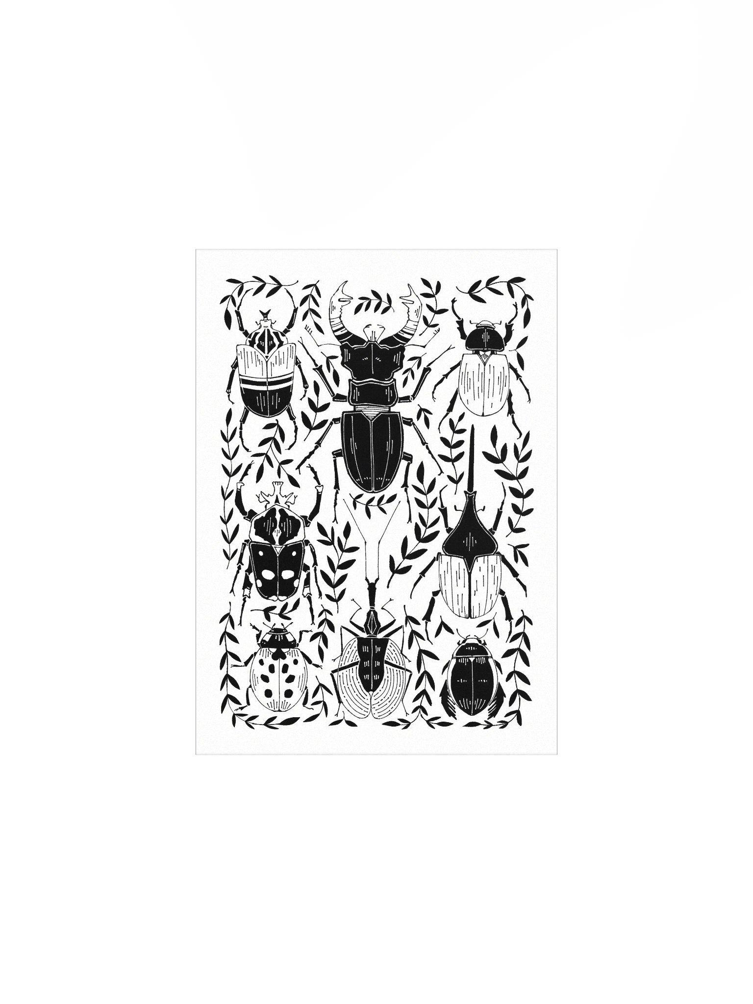 beetles product image (1)
