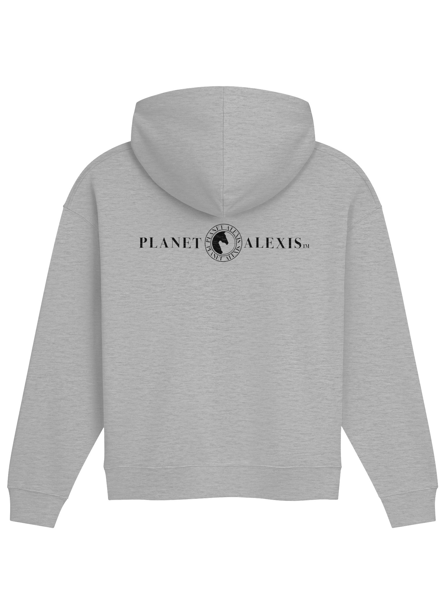 Organic Cotton Blend Hoodie product image (2)