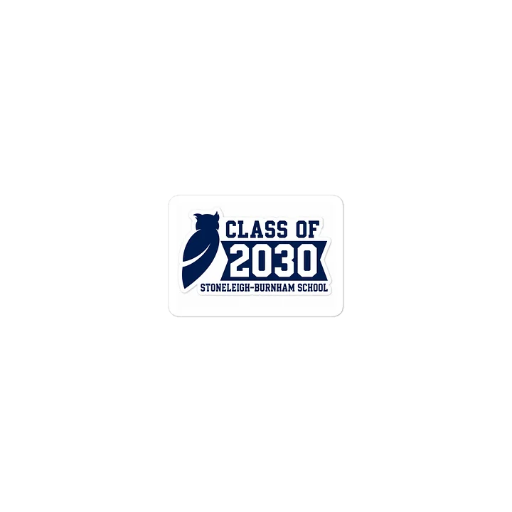 Class of 2030 Owl School Sticker product image (2)