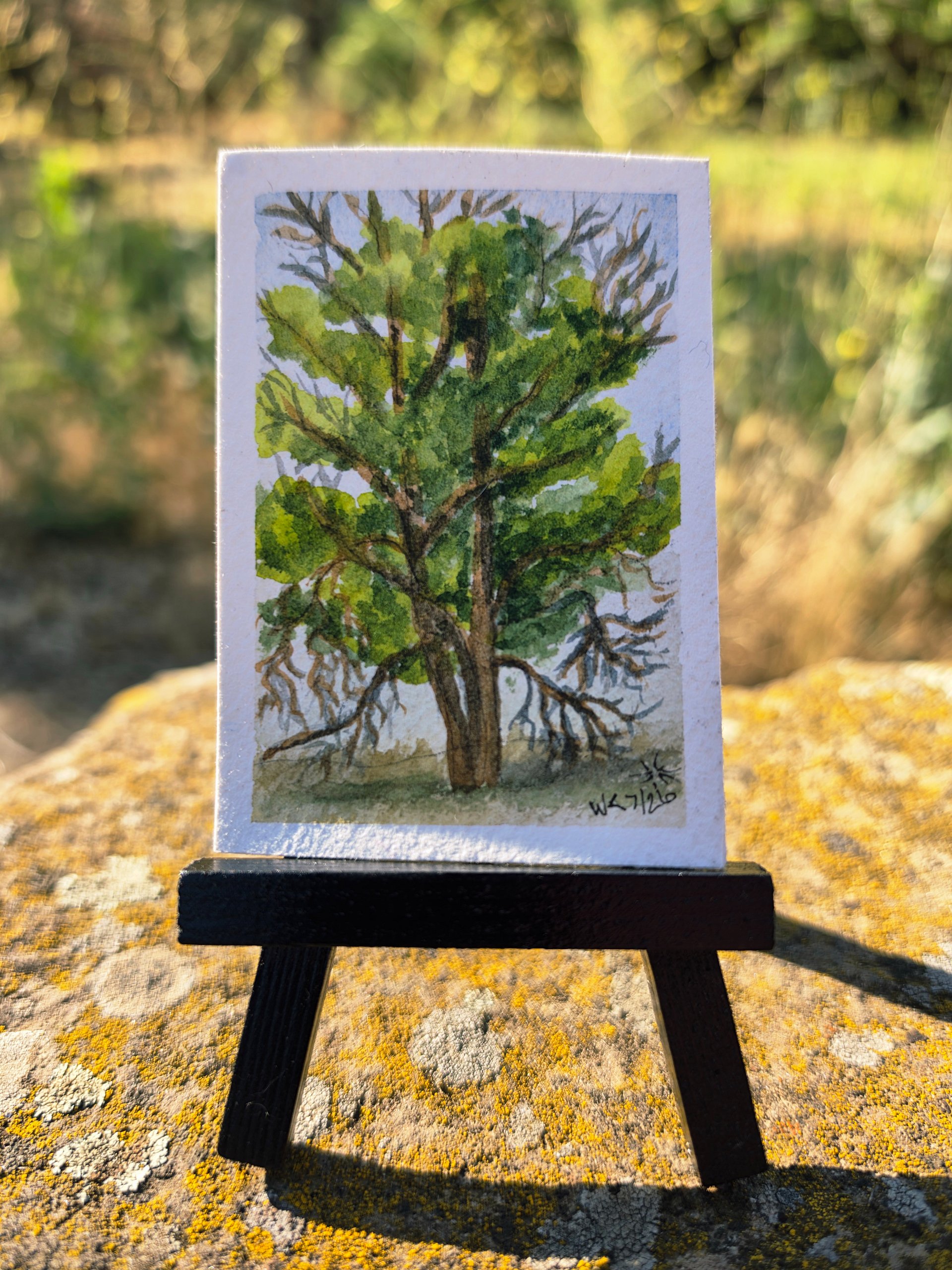 Hypnotic Tree - Mile Marker McKays Bend product image (1)