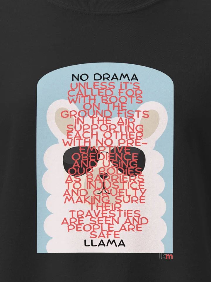 Drama Llama LKM Boxy Tee product image (1)