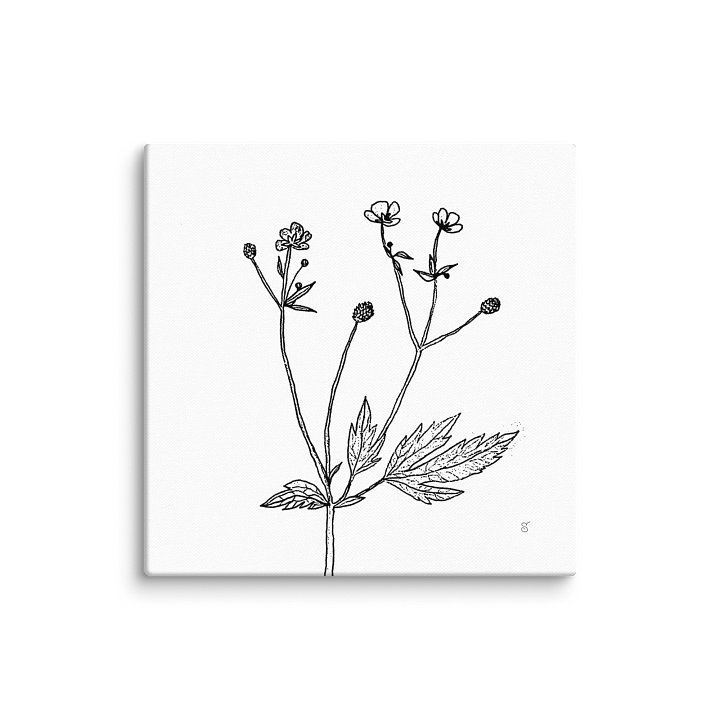 Botanical Bliss Canvas - Wild Flowers product image (1)