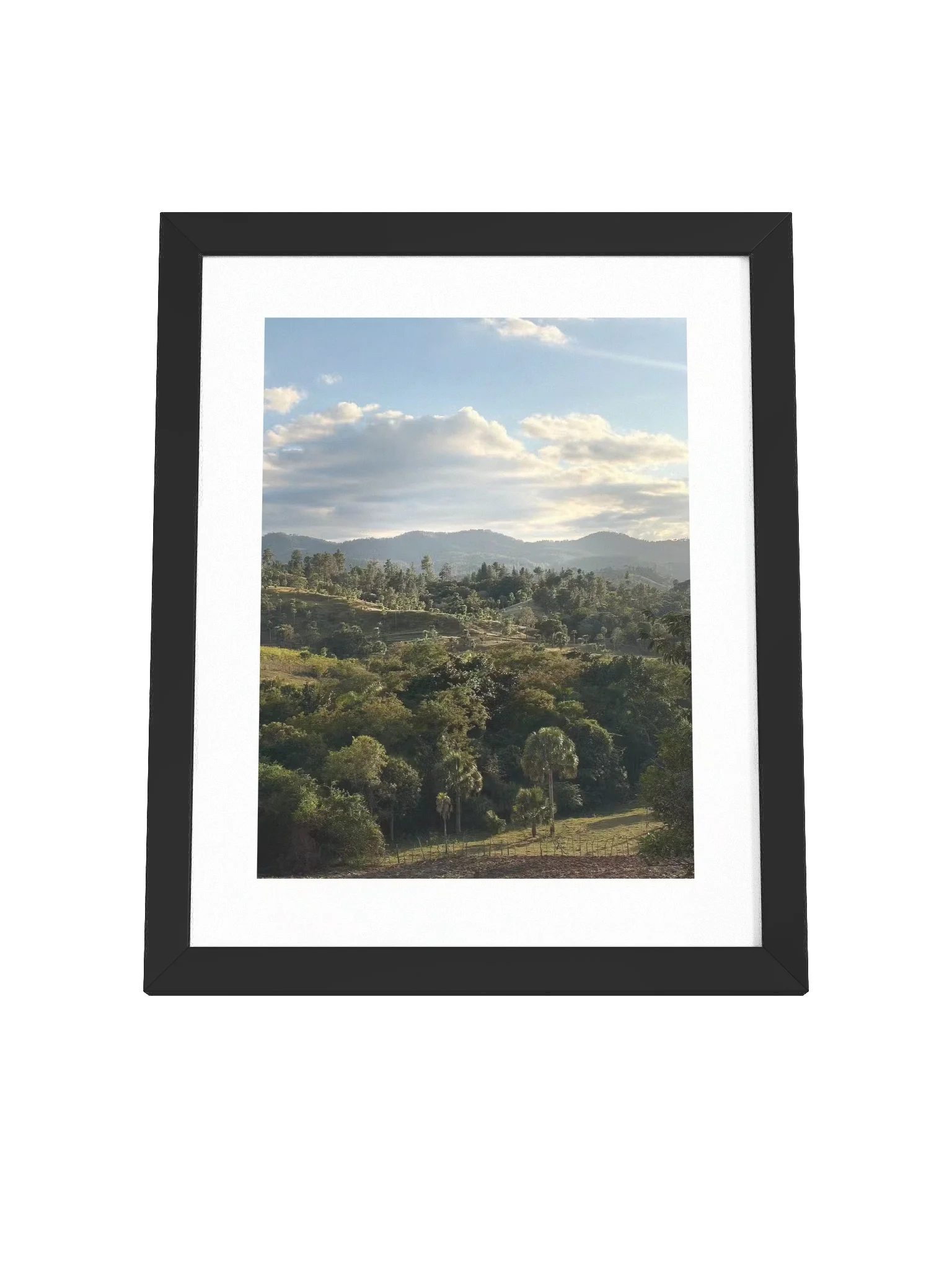 Hills and Palm Tree Framed Art Print product image (12)