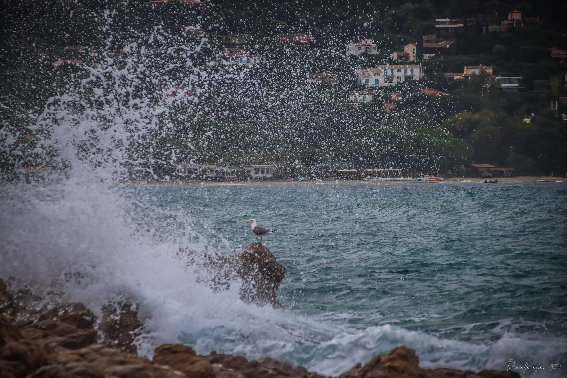 Fine Art – The Unshakable Sentinel product image (1)