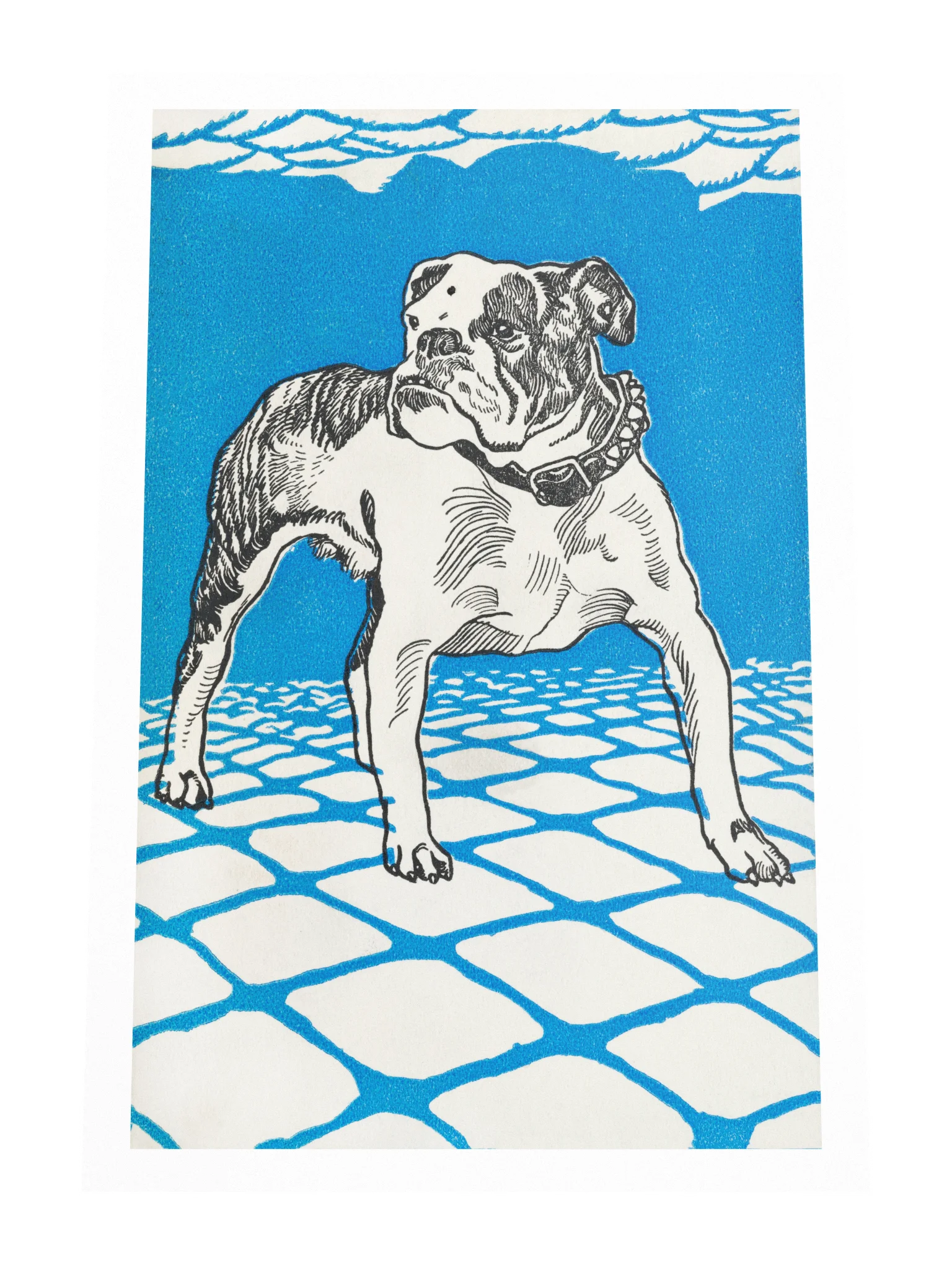 Bulldog Poster product image (4)