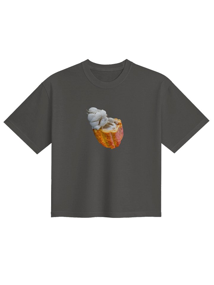 Caribbean Apples - CoCao West Indies Minimal | Women's Heavyweight Boxy T-Shirt product image (9)