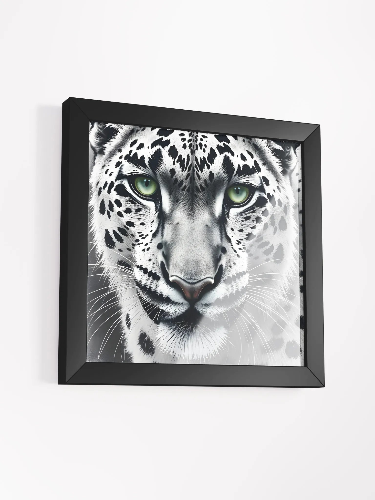 Snowleopard product image (38)