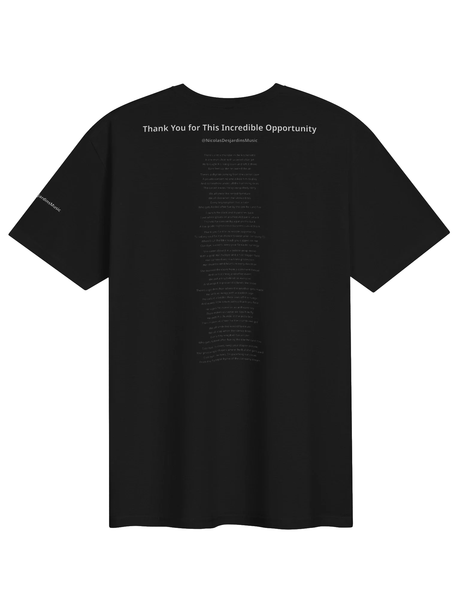 Thank You for This Incredible Opportunity — Lyrics Tee - AS1Ye9UlKOY