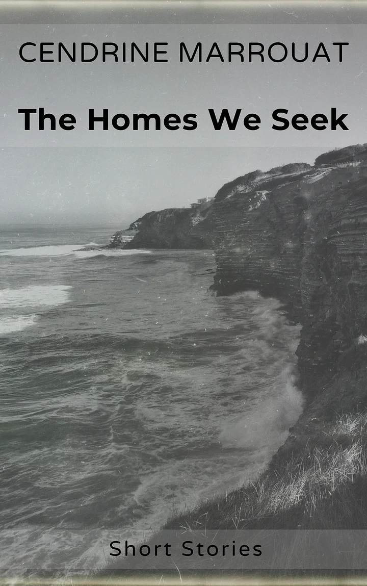 The Homes We Seek product image (1)