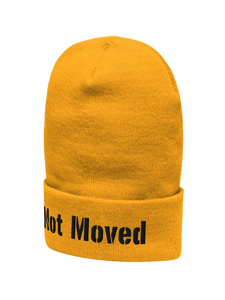 Cozy Embroidered Not Moved Beanie for Cuffing Season product image (2)