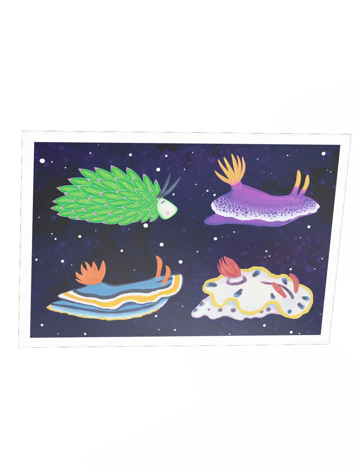 Sea Slugs: Set 2 - Print product image (3)