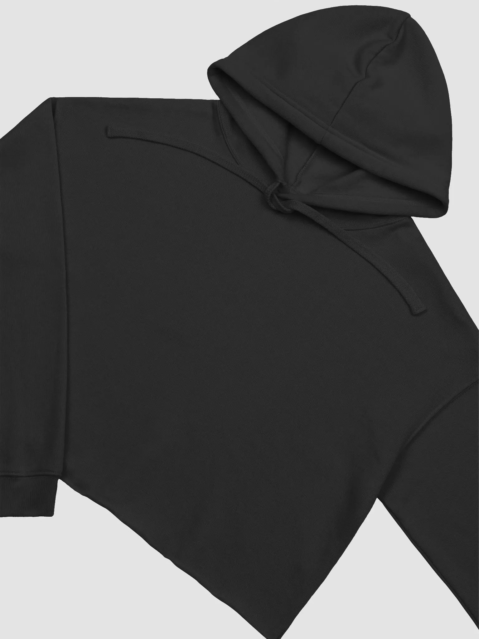 CTL LA Logo Fleece Crop Hoodie product image (2)