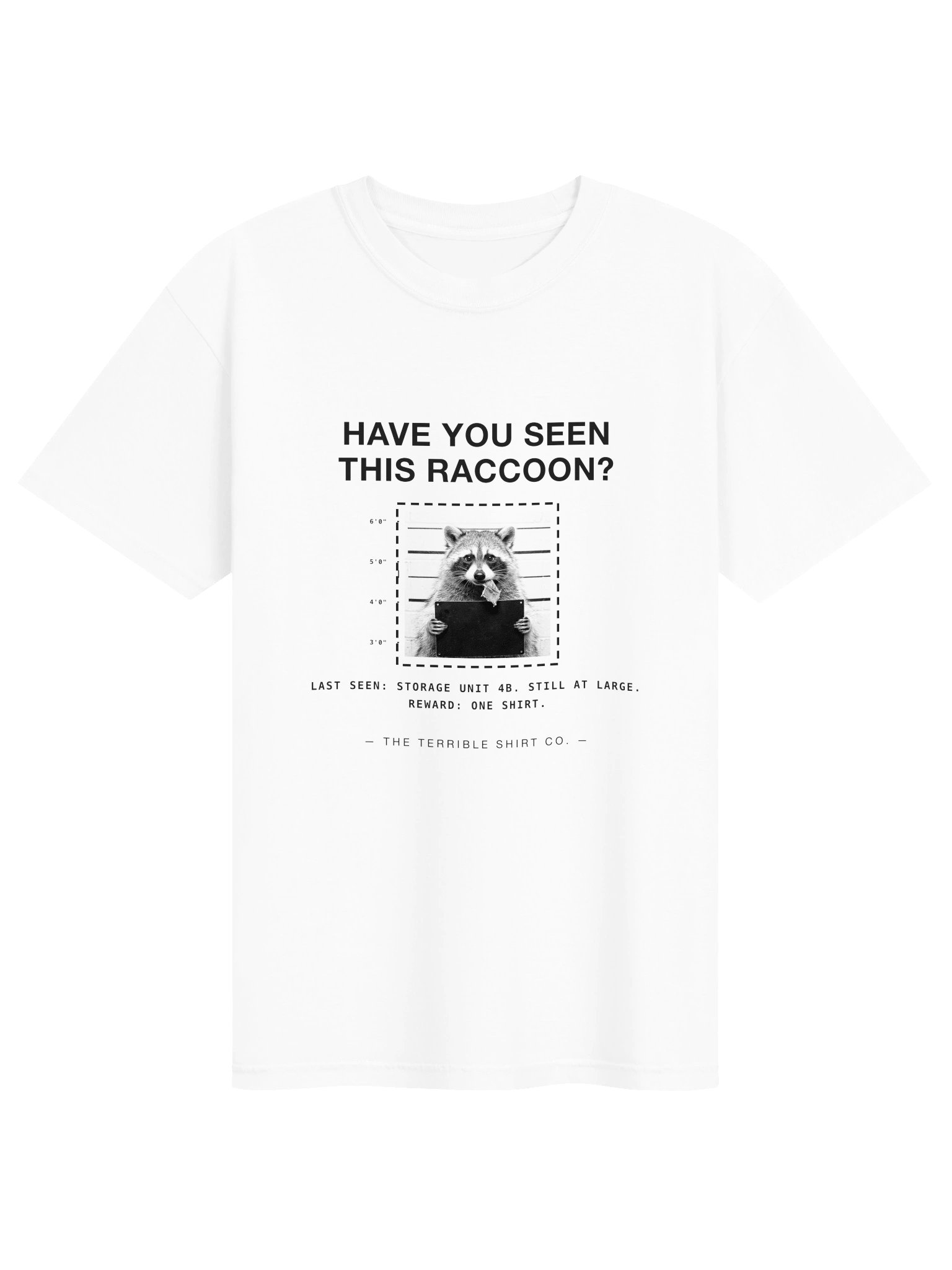 Have You Seen This Raccoon? product image (1)