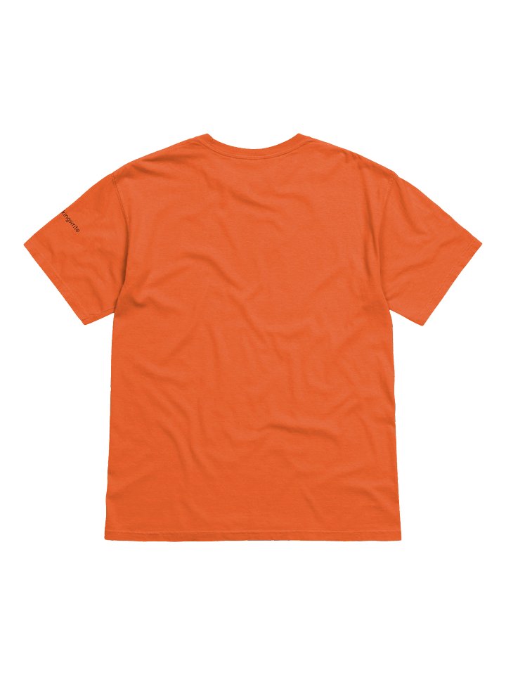 LDW Logo Heavy Weight Tee product image (2)